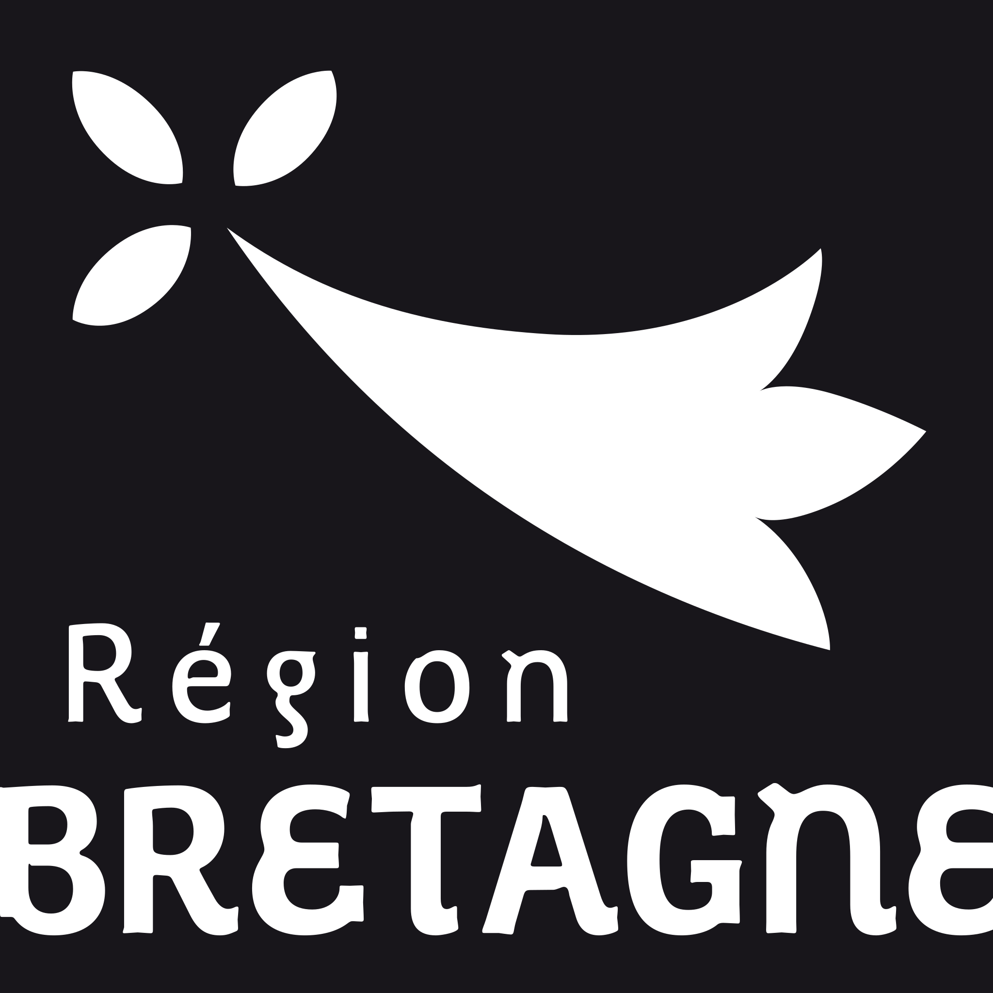 3 - LOGO BRETAGNE