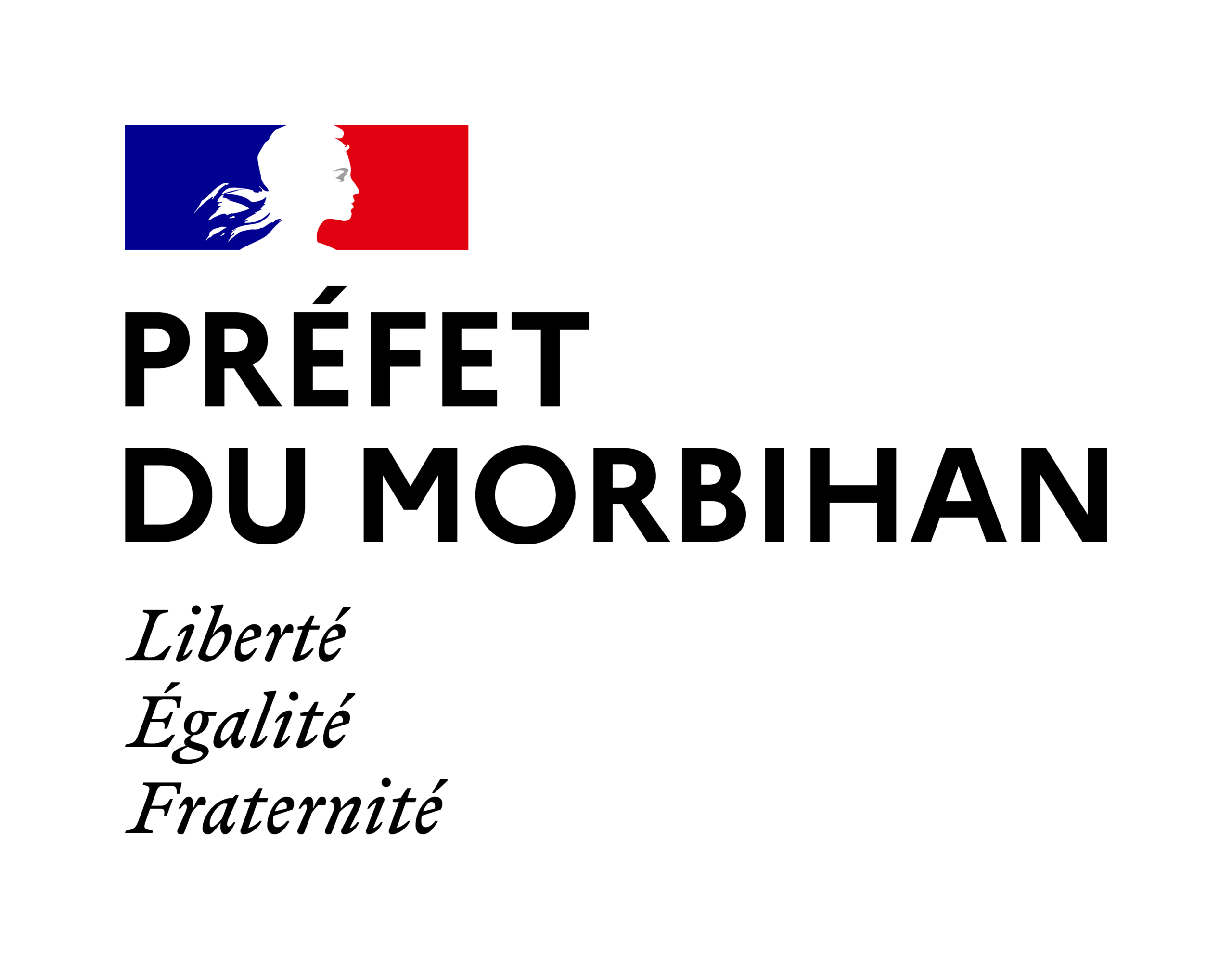 4 - LOGO MORBIHAN