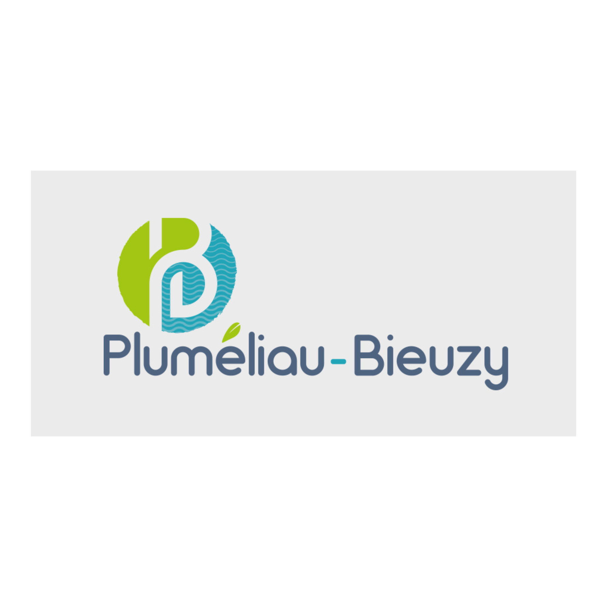 10 Plumeliau Bieuzy